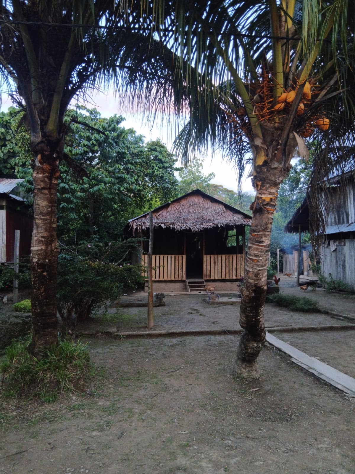 Exploraciones Camping 3