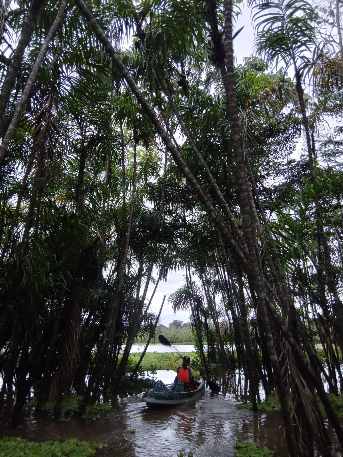 Exploraciones Camping 5